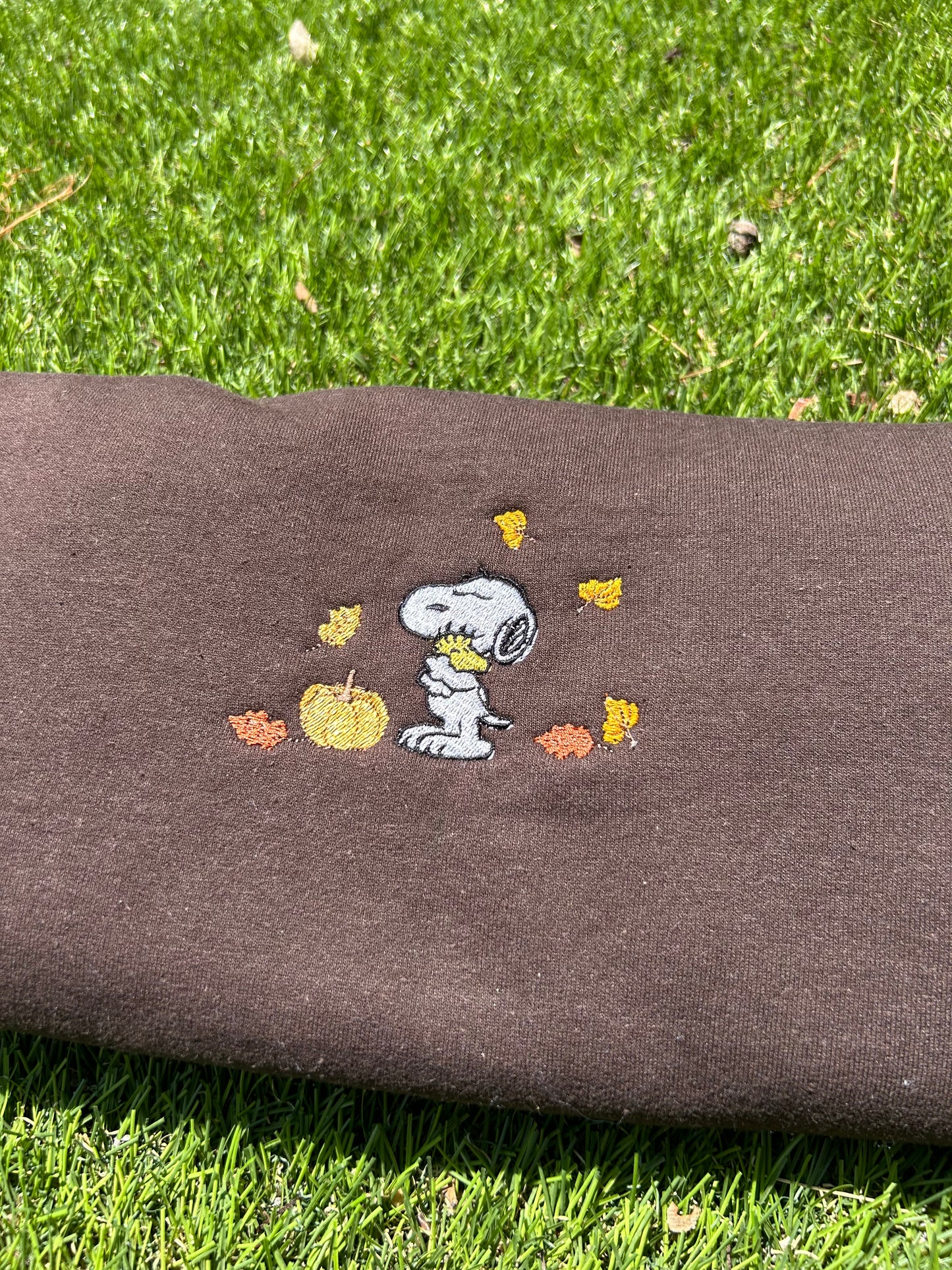 Snoopy Fall Embroidered Sweatshirt