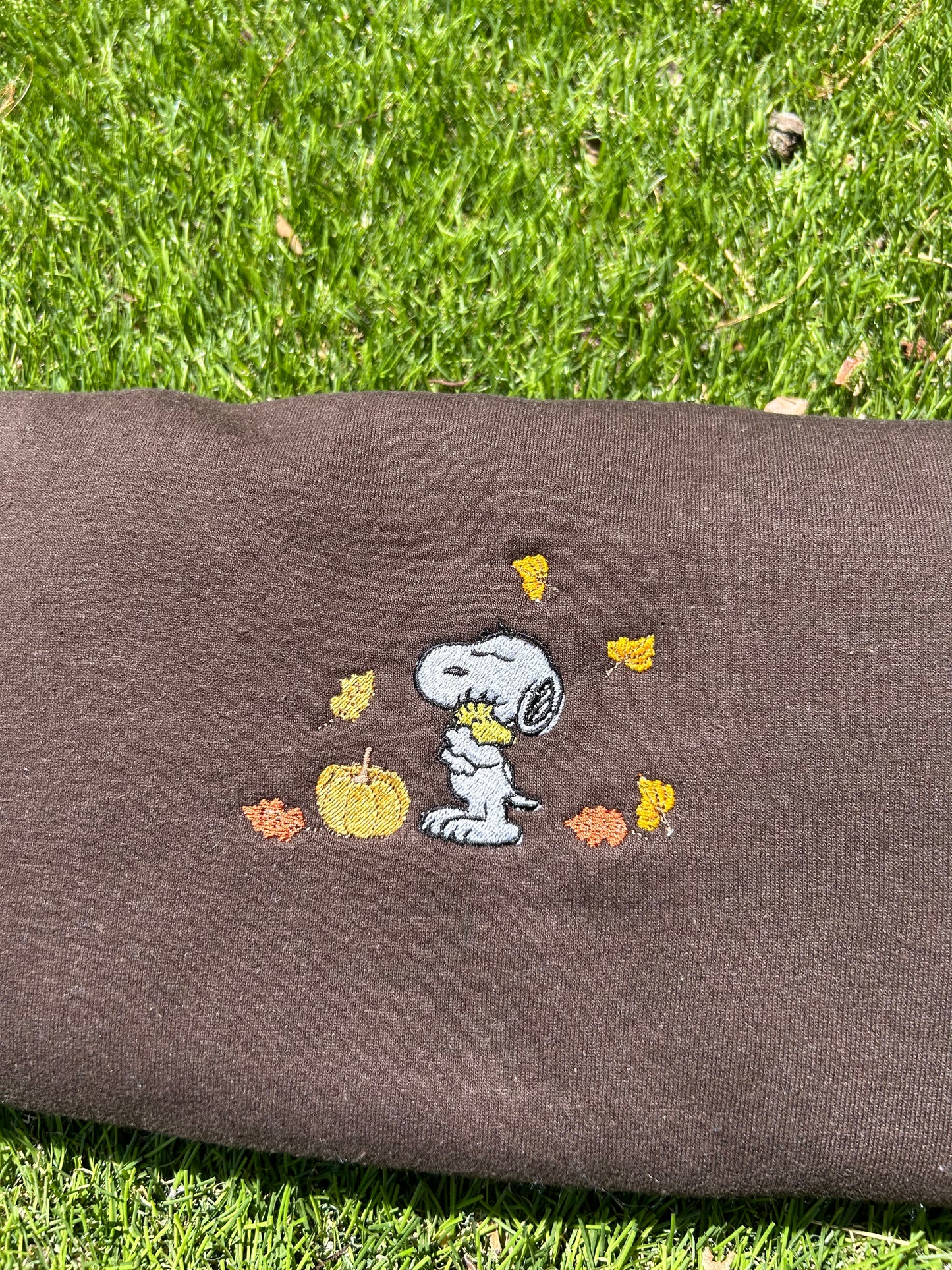 Snoopy Fall Embroidered Sweatshirt